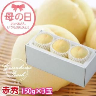 ٤Ƥ  2025   ϤȤ ֽ 150g3  ʣ  512ʹ߽缡ȯջԲġˡ