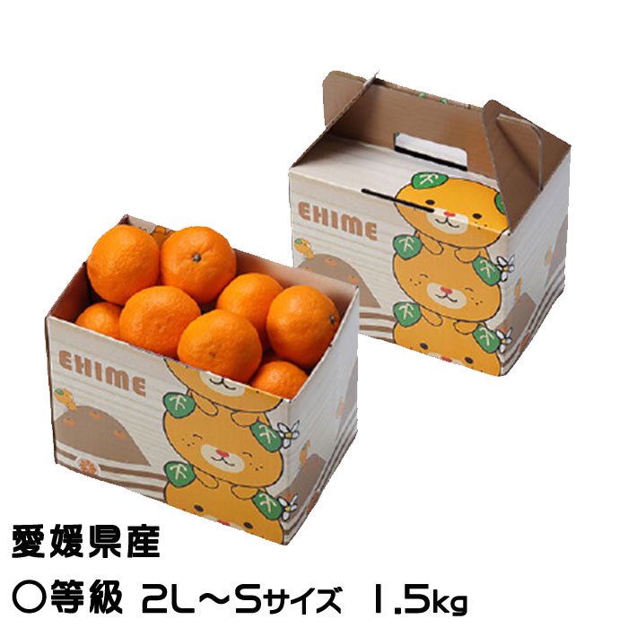 愛媛みかん 西宇和産 小玉みかん 2.5kg 訳あり家庭用 ２セット以上ご注文で送料無料