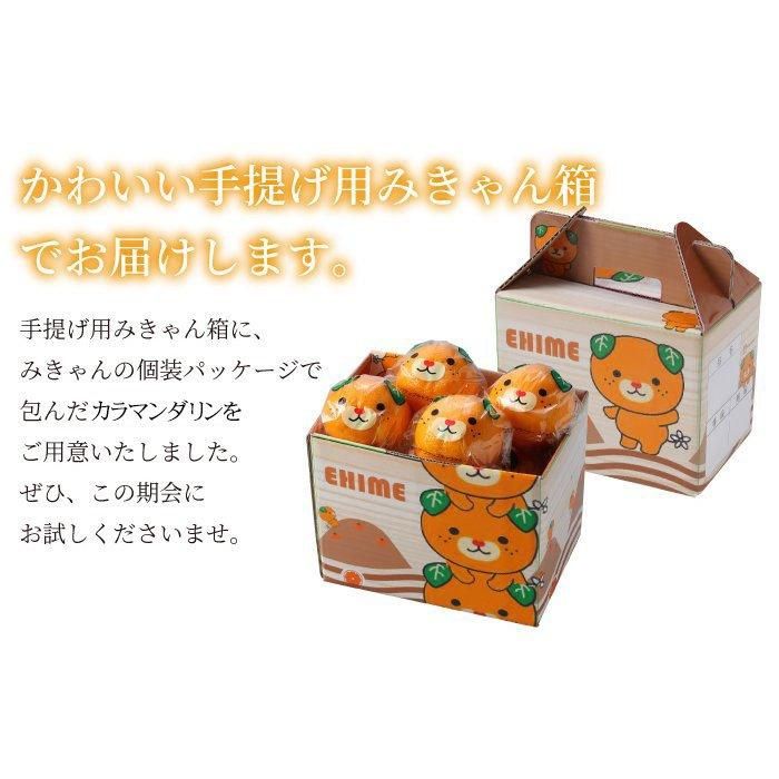 Amazon.co.jp: みかん 完熟春みかん カラマンダリン みきゃん