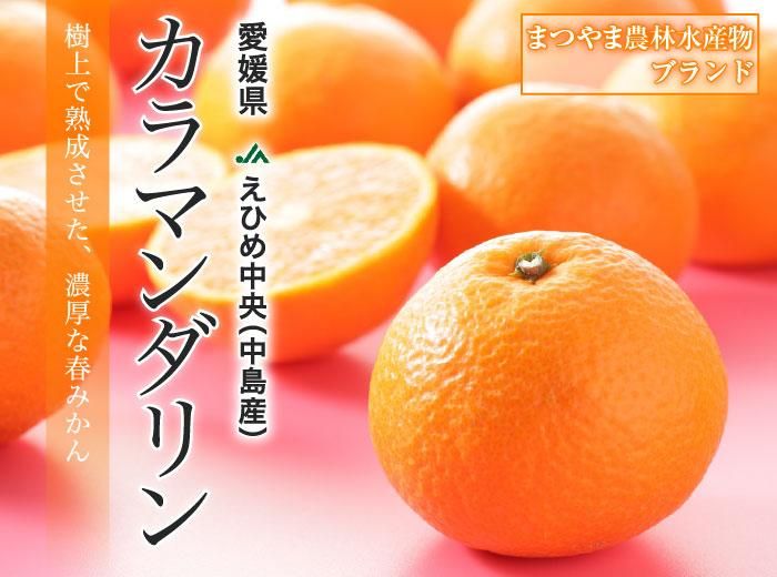 みかん カラマンダリン みきゃんの中島だより 匠と極 12玉～15玉