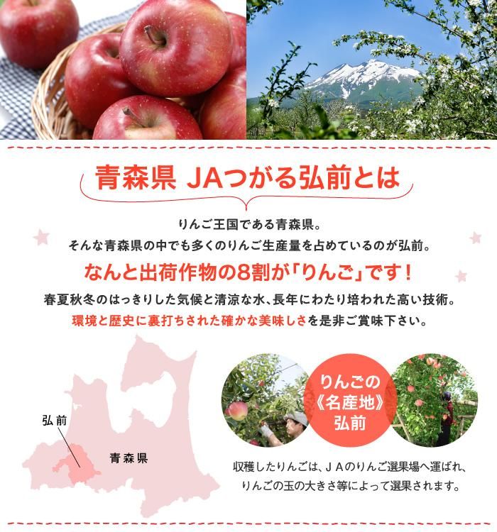 葉とらず太陽ふじりんご 糖度12度以上 特選 青森県産 JAつがる弘前 【1月上旬より発送】 - はちやフルーツ