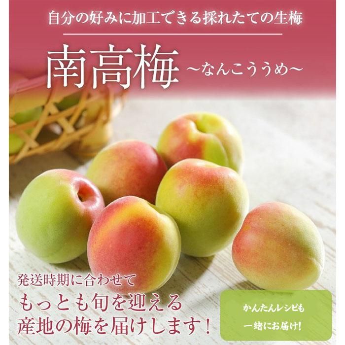 梅 南高梅 産地厳選 秀品 3Lサイズ なんこう うめ 【5月下旬より