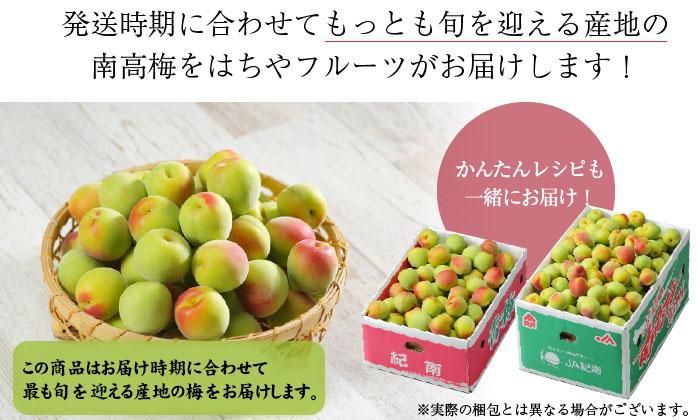 梅 南高梅 産地厳選 秀品 3Lサイズ なんこう うめ 【5月下旬より