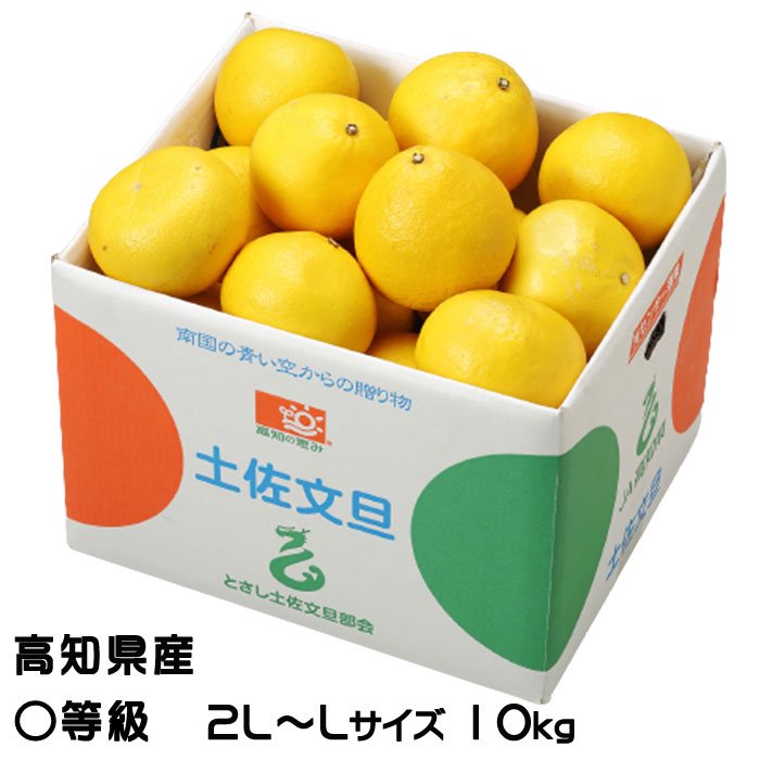 ぶんたん 土佐文旦 〇等級 2L～L 10kg 高知県産 JA高知県 ブンタン と