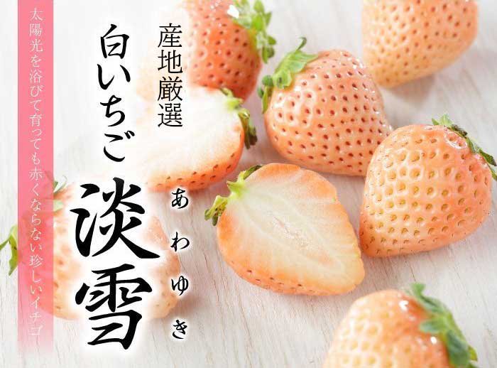 いちご 白いちご 淡雪 あわゆき 白いちご 青秀 3l Lサイズ 270g 2パック 熊本県産 苺 イチゴ はちやフルーツ