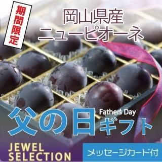 <img class='new_mark_img1' src='https://img.shop-pro.jp/img/new/icons1.gif' style='border:none;display:inline;margin:0px;padding:0px;width:auto;' /> 2025 ˥塼ԥ 奨륻쥯 ý 20γ  ƺ ֤ɤ ֥ɥ ե ץ쥼 61615δ֤ˤϤޤջԲġˡ