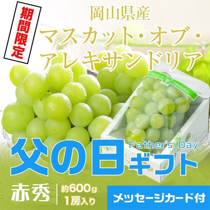 遅れてごめんね 父の日 2022 マスカットオブアレキサンドリア 赤秀 600g×1房 岡山県産 ＪＡおかやま 葡萄 ぶどう ブドウ ギフト  プレゼント 【6月20日から順次お届け】 - はちやフルーツ