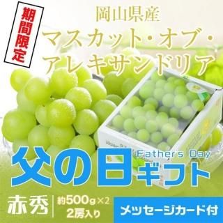 <img class='new_mark_img1' src='https://img.shop-pro.jp/img/new/icons1.gif' style='border:none;display:inline;margin:0px;padding:0px;width:auto;' /> 2025 ޥåȥ֥쥭ɥꥢ ֽ 500g2˼  ʣ ƺ61615δ֤ˤϤޤջԲġˡ