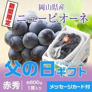 <img class='new_mark_img1' src='https://img.shop-pro.jp/img/new/icons1.gif' style='border:none;display:inline;margin:0px;padding:0px;width:auto;' /> 2025 ˥塼ԥ ֽ 600g1˼  ʣ ƺ ֤ɤ ֥ɥ ե ץ쥼ȡ61615δ֤ˤϤޤջԲġˡ

