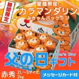 <img class='new_mark_img1' src='https://img.shop-pro.jp/img/new/icons1.gif' style='border:none;display:inline;margin:0px;padding:0px;width:auto;' /> 2025 Ͻդߤ ޥ ߤѥå ֽ 2LS 2kg 153061615δ֤ˤϤޤջԲġˡ
