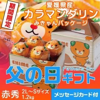 <img class='new_mark_img1' src='https://img.shop-pro.jp/img/new/icons1.gif' style='border:none;display:inline;margin:0px;padding:0px;width:auto;' /> 2025 Ͻդߤ ޥ ߤѥå ֽ 2LS 1.2kg 815 61615δ֤ˤϤޤջԲġˡ
