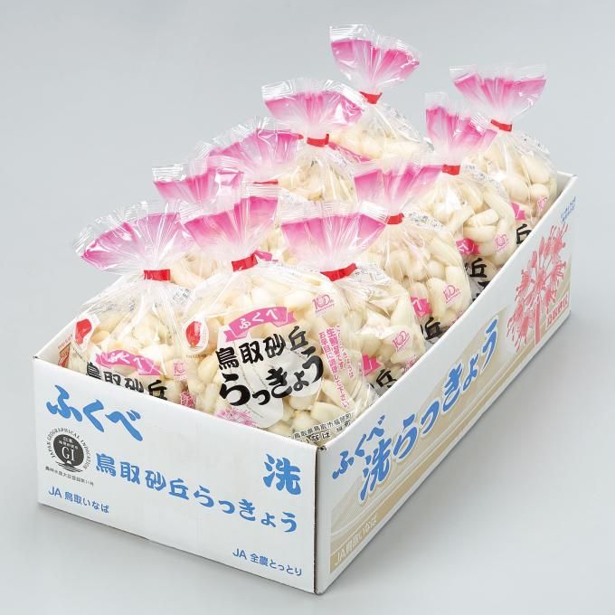 洗い 砂丘らっきょう L M Sサイズ 大きさおまかせ 約10kg 鳥取県産 ja鳥取いなば 福部産 はちやフルーツ 洗い 砂丘らっきょう L M Sサイズ 大きさおまかせ 約10kg 鳥取県産 ja鳥取いなば 福部産 はちやフルーツ