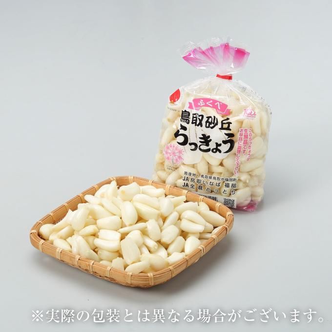 洗い 砂丘らっきょう L M Sサイズ 大きさおまかせ 約10kg 鳥取県産 ja鳥取いなば 福部産 はちやフルーツ 洗い 砂丘らっきょう L M Sサイズ 大きさおまかせ 約10kg 鳥取県産 ja鳥取いなば 福部産 はちやフルーツ