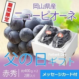 <img class='new_mark_img1' src='https://img.shop-pro.jp/img/new/icons1.gif' style='border:none;display:inline;margin:0px;padding:0px;width:auto;' /> 2025 ˥塼ԥ ֽ 400g2˼   ʣ ԥ ƺ ֥ɥ ֤ɤ ե ץ쥼ȡ61615δ֤ˤϤޤջԲġˡ
