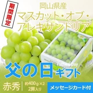 <img class='new_mark_img1' src='https://img.shop-pro.jp/img/new/icons1.gif' style='border:none;display:inline;margin:0px;padding:0px;width:auto;' /> 2025 ޥåȥ֥쥭ɥꥢ ֽ 400g2˼  ʣޡ61615δ֤ˤϤޤջԲġˡ


