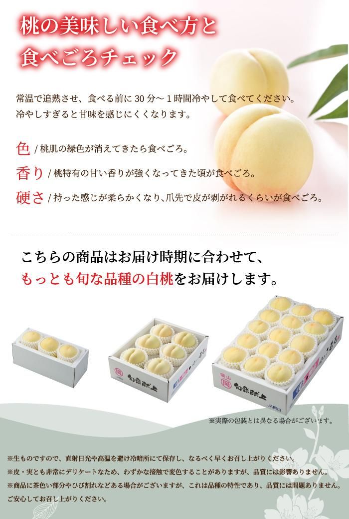 お中元 岡山白桃 ロイヤル 5~10玉 岡山県産 JAおかやま 【6月下旬より順次発送】 - はちやフルーツ お中元 岡山白桃 ロイヤル 5~10玉 岡山県産 JAおかやま 【6月下旬より順次発送】 - はちやフルーツ
