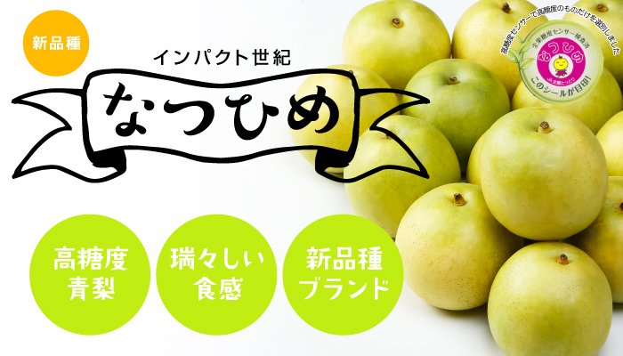 梨 なつひめ 風のいたずら ちょっと訳あり 約2kg 鳥取県産 ｊａ鳥取中央 8月下旬より発送 はちやフルーツ