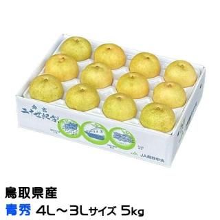 梨 20世紀梨 青秀 4L〜3Lサイズ 12〜14玉 約5kg 鳥取県産 なし ナシ 【9月上旬より順次発送】