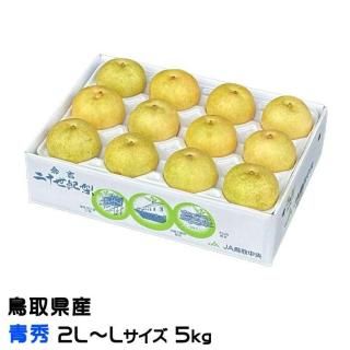 梨 20世紀梨 青秀 2L〜Lサイズ 16〜18玉 約5kg 鳥取県産 なし ナシ 【9月上旬より順次発送】