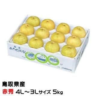梨 20世紀梨 赤秀 4L〜3Lサイズ 12〜14玉 約5kg 鳥取県産 なし ナシ 【9月上旬より順次発送】