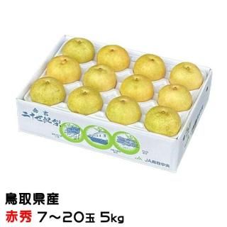 梨 20世紀梨 赤秀 7〜20玉 5kg 鳥取県産 なし ナシ 【9月上旬より順次発送】