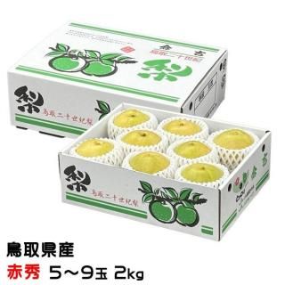 梨 20世紀梨 赤秀 5〜9玉 2kg 鳥取県産 なし ナシ 【9月上旬より順次発送】