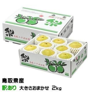 梨 20世紀梨 ちょっと訳あり 大きさおまかせ 2kg 鳥取県産 なし ナシ ギフト お取り寄せ 【9月上旬より順次発送】