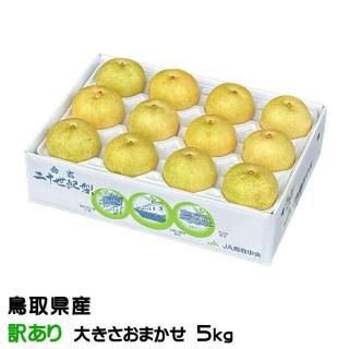 梨 20世紀梨 ちょっと訳あり 大きさおまかせ 5kg 鳥取県産 なし ナシ 【9月上旬より順次発送】