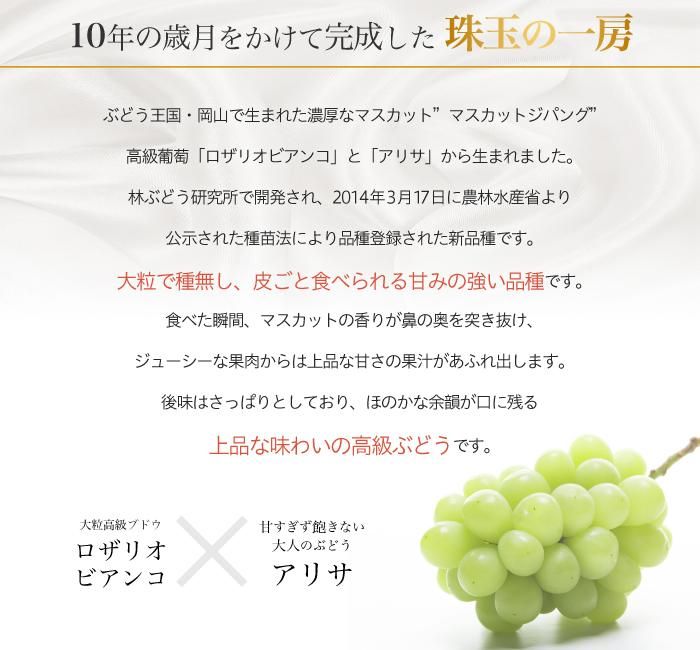 ぶどう マスカットジパング 青秀 約700g 1房 岡山県産 Jaおかやま ぶどう 葡萄 ブドウ はちやフルーツ ぶどう マスカットジパング 青秀 約700g 1房 岡山県産 Jaおかやま ぶどう 葡萄 ブドウ はちやフルーツ
