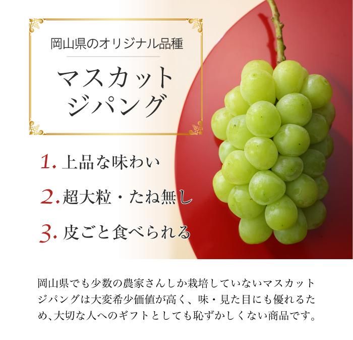 ぶどう マスカットジパング 青秀 約700g １房 岡山県産 Jaおかやま ぶどう 葡萄 ブドウ はちやフルーツ