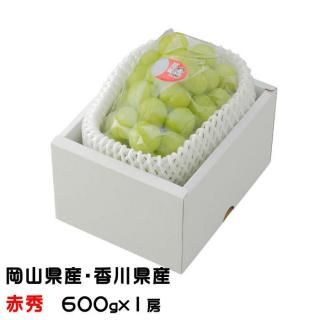 ֤ɤ Ϻ֤ɤ ֽ 600g1˼   ƺ ֥ɥ7ܤ缡ȯ