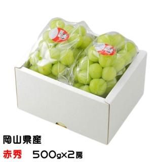 ֤ɤ Ϻ֤ɤ ֽ 500g2˼   ƥե ƺ ֥ɥ8ܤ缡ȯ