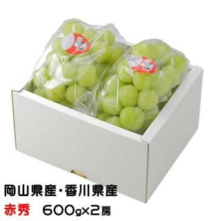 ֤ɤ Ϻ֤ɤ ֽ 600g2˼   ƺ ֥ɥ7ܤ缡ȯ