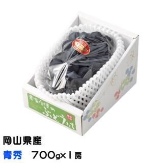 <img class='new_mark_img1' src='https://img.shop-pro.jp/img/new/icons1.gif' style='border:none;display:inline;margin:0px;padding:0px;width:auto;' />֤ɤ ˥塼ԥ Ľ 700g1˼  ʣ ƺ ֥ɥ 6ܤ缡ȯ