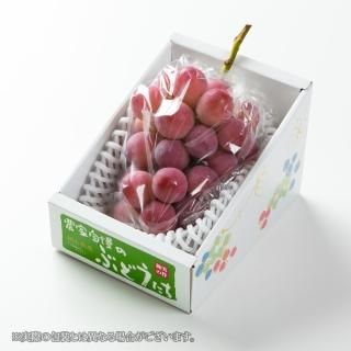 <img class='new_mark_img1' src='https://img.shop-pro.jp/img/new/icons1.gif' style='border:none;display:inline;margin:0px;padding:0px;width:auto;' />渵 ֤ɤ ˡ ֽ 700g1˼  ʣ ƺ ֥ɥ 7ܤ缡ȯ
