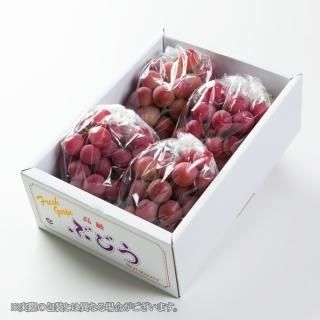 <img class='new_mark_img1' src='https://img.shop-pro.jp/img/new/icons1.gif' style='border:none;display:inline;margin:0px;padding:0px;width:auto;' />渵 ֤ɤ ˡ ֽ 36˼ 1.5kg  ʣ ƺ ֥ɥ 7ܤ缡ȯ