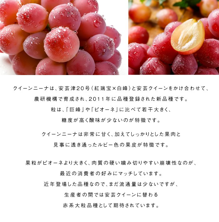 ぶどう クイーンニーナ 青秀 600g×1房 岡山県産 ＪＡおかやま 葡萄