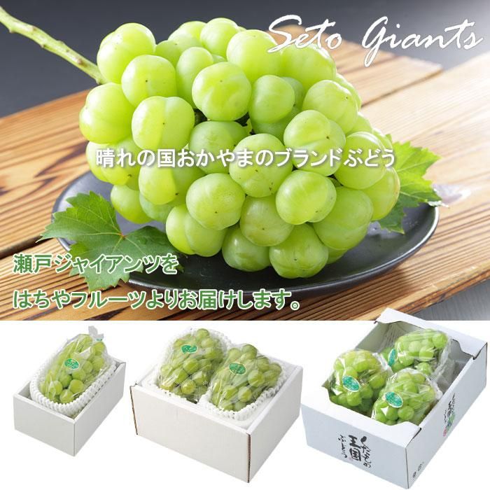 ぶどう 瀬戸ジャイアンツ 青秀 500g×2房 岡山県産 JAおかやま 葡萄 ブドウ 【9月上旬より順次発送】 - はちやフルーツ ぶどう 瀬戸ジャイアンツ 青秀 500g×2房 岡山県産 JAおかやま 葡萄 ブドウ 【9月上旬より順次発送】 - はちやフルーツ