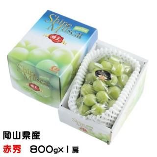 <img class='new_mark_img1' src='https://img.shop-pro.jp/img/new/icons1.gif' style='border:none;display:inline;margin:0px;padding:0px;width:auto;' />渵 ֤ɤ 㥤ޥå  ֽ 8001˼  ƺ ֥ɥ 7ܤ缡ȯ