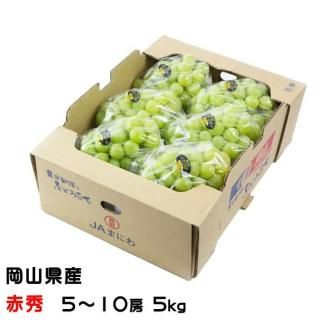 <img class='new_mark_img1' src='https://img.shop-pro.jp/img/new/icons1.gif' style='border:none;display:inline;margin:0px;padding:0px;width:auto;' />渵 ֤ɤ 㥤ޥå  ֽ 510˼ 5kg  ƺ ֥ɥ7ܤ缡ȯ