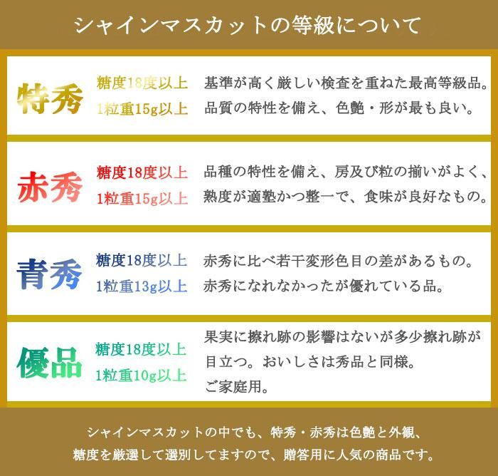 シャインマスカット 400g〜499g 岡山県産 晴王 青秀5房 JA 御中元 - bookteen.net