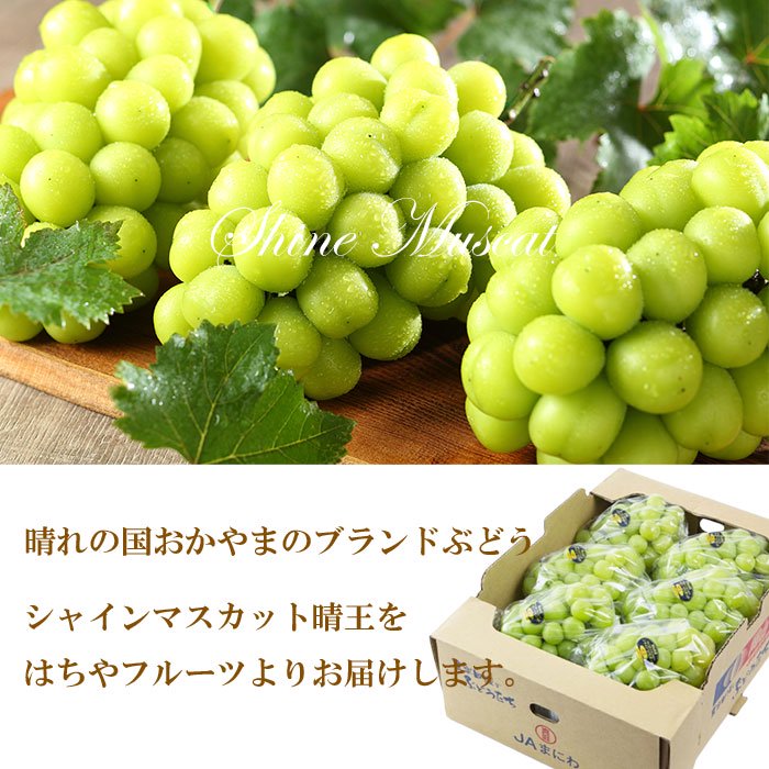 ぶどう シャインマスカット 晴王 赤秀 5～10房 5kg 岡山県産 葡萄