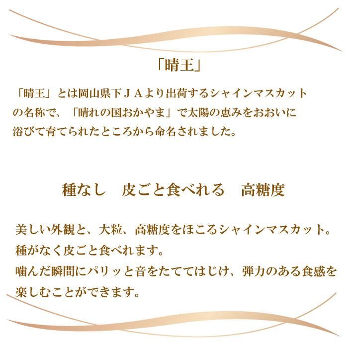 少し豊富な贈り物 御祝 晴王 贈答用 2022 ぶどう 御中元 御供 青秀