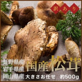  ŷ ޤĤ   ܻ ϸ  礭ޤ 500g10ܤ缡ȯ