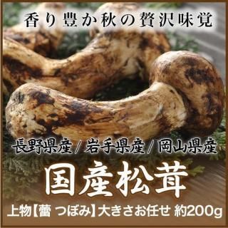 松茸 - はちやフルーツ 松茸 - はちやフルーツ