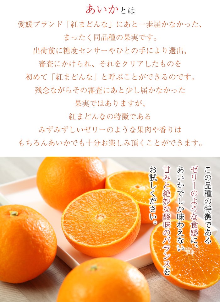 お歳暮 みかん あいか 訳あり 大きさおまかせ 5kｇ 紅まどんなと同品種 JAえひめ中央 中島選果場 蜜柑 【12月上旬より順次発送】 - はちや フルーツ