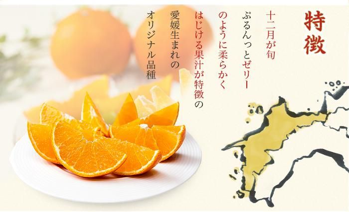 浜ノまどんな 『愛媛果試第28号』 家庭用 4kg 2025年12月発送