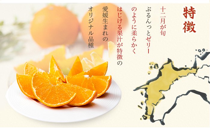 お歳暮 みかん 紅まどんな 赤秀 匠と極 2L～Lサイズ 1.5kg 愛媛県産 JAえひめ中央 中島選果場 【12月上旬より順次発送】 -  はちやフルーツ