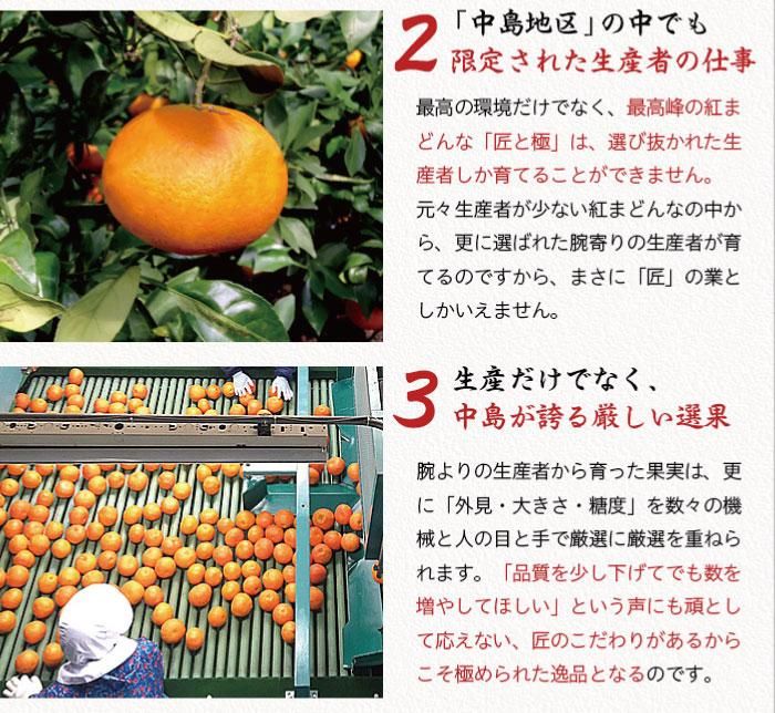 みかん 紅まどんな 赤秀 匠と極 2L～Lサイズ 1.5kg 愛媛県産 JA
