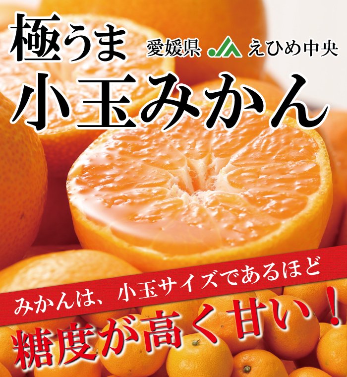 新作アイテム毎日更新 みかん 極旨小玉みかん 赤秀 S〜SSサイズ 10kg JAえひめ中央 中島産 ミカン 蜜柑 ギフト お歳暮  megjc.gov.jm